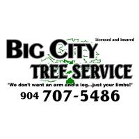 Big City Tree Service, Inc. image 1